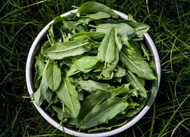 ��� ��������� �������� ������ � ������� �� ��� ����: ������� ��������� ���������