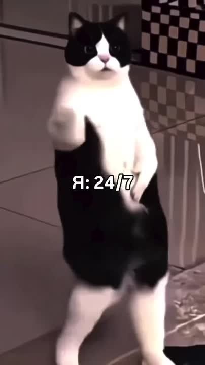 ������, � ���������� - �� ����� ��� ������!