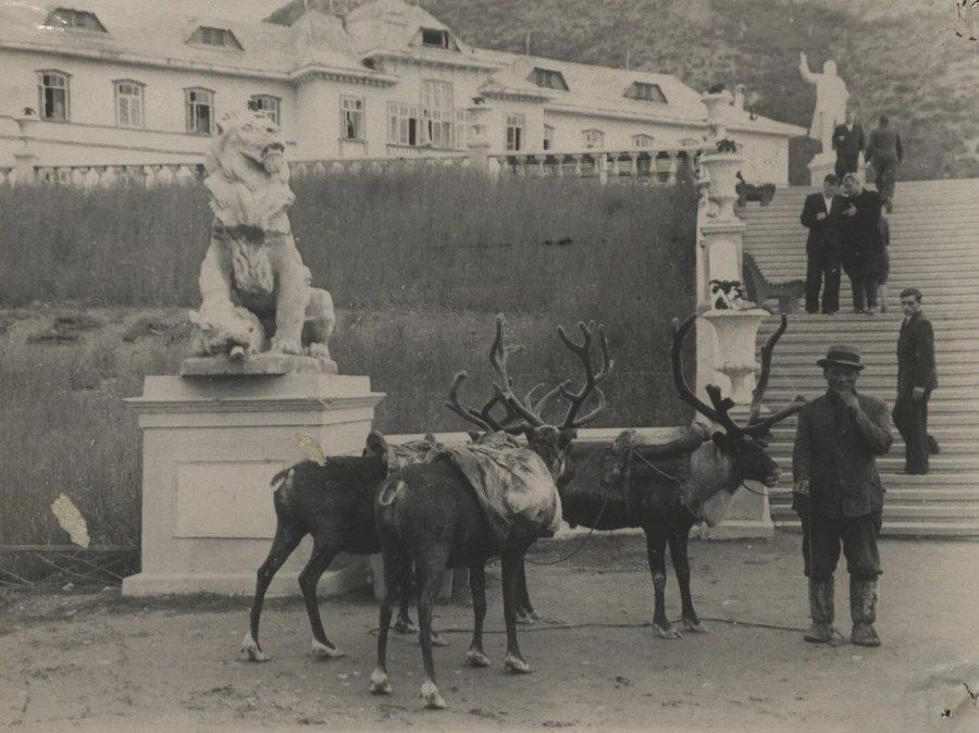 �������� ��������� ������� �� ������ � ����������� �������� ��������� �� ������