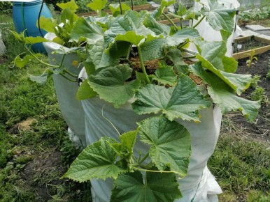 ������ � ����: ���������� ������� � ������� � �����������