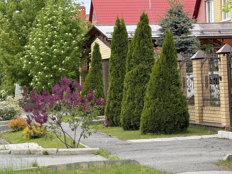 ������ � �����������: ��� �� ������� �� �����������