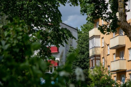 ��� ������ ����� ����� ����� ������������ �� ���� � ����� ��������