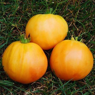 ����� �������� ����: ��� �������� ������ � ����������� �������