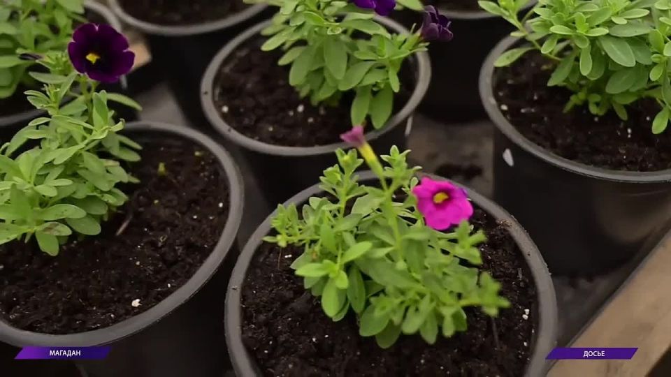 ������� � ������ �������: ������� ��� ��������� ��������� �����