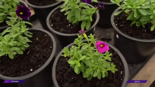 ������� � ������ �������: ������� ��� ��������� ��������� �����