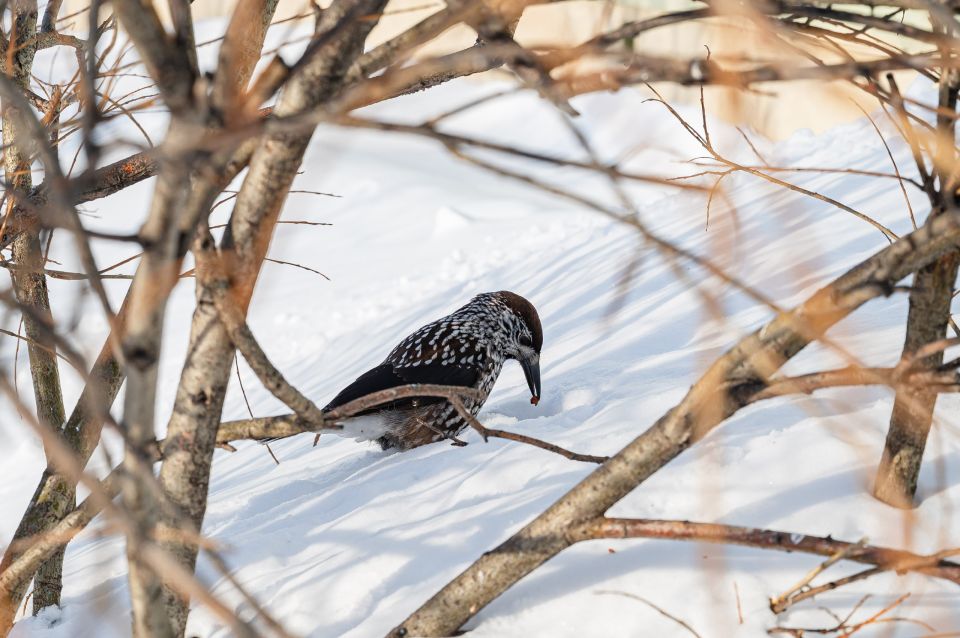 ������ ��������� ���������� ���, ������� ���������!