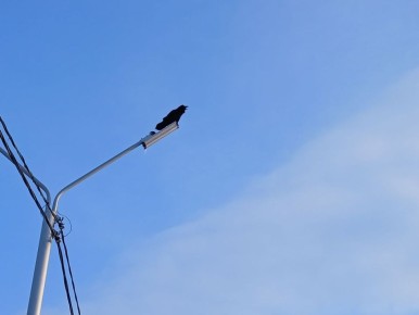 � �������� -15