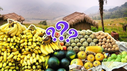 �������� ���������� �� ���� ���������: ��� ����� ��� ������ �� ��������