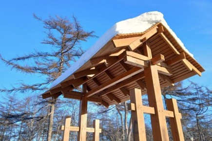 � �������� -17