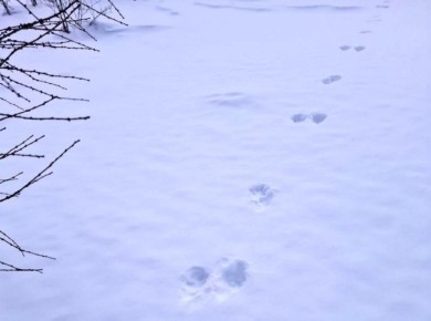 ������� ������������ ����� � ������ ����� ����� ������� �������� � ����������� �������