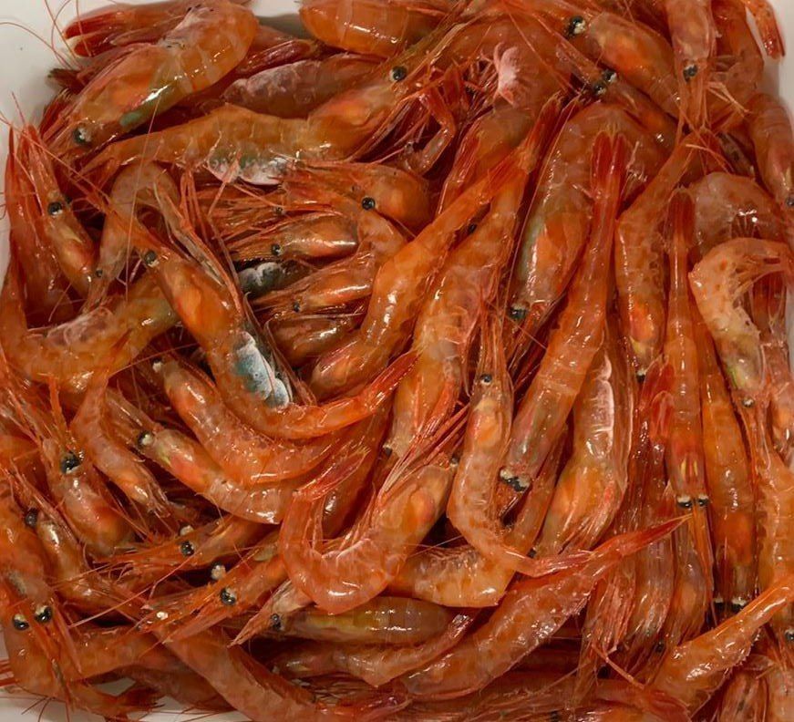 ���������� �������� �������� �� ���� 2026 ���� ��������� ����������� ������ � �������� ����