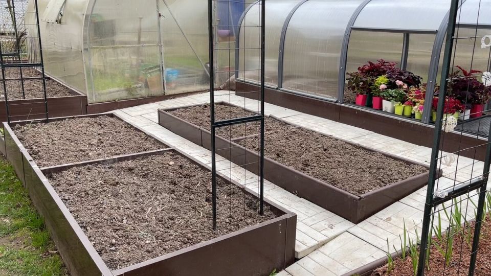 ��� ����������� ����� � ������� ��������� ��� ��������� ������� ������