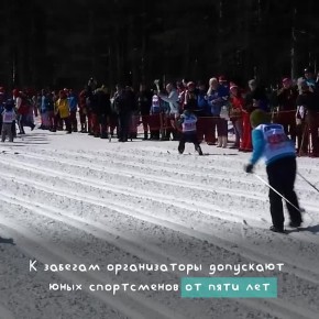 ������ ������ ������� 14 ������� �� ������ ���������� ����