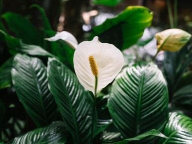 � ���, ��� ���������� � ������ �����