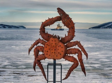 � �������, 12 �������, � ����������� �������: