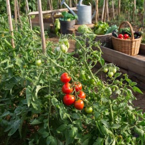 ������ ��� �������: 10 ������������� ������ ��� ��������� ������