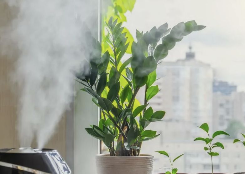 ����� ������ � ���� �����: ��� ������ �������� � ������ ������