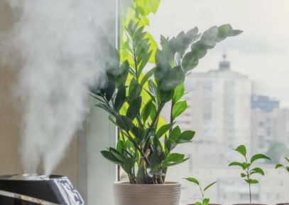 ����� ������ � ���� �����: ��� ������ �������� � ������ ������