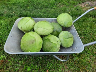 ��� �������� ������� �� ������� ��� �����: ������ �����������