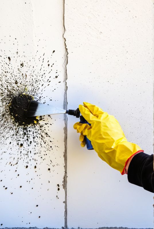 Как эффективно избавиться от плесени и грибка: советы и средства