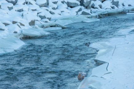 � �������� -16