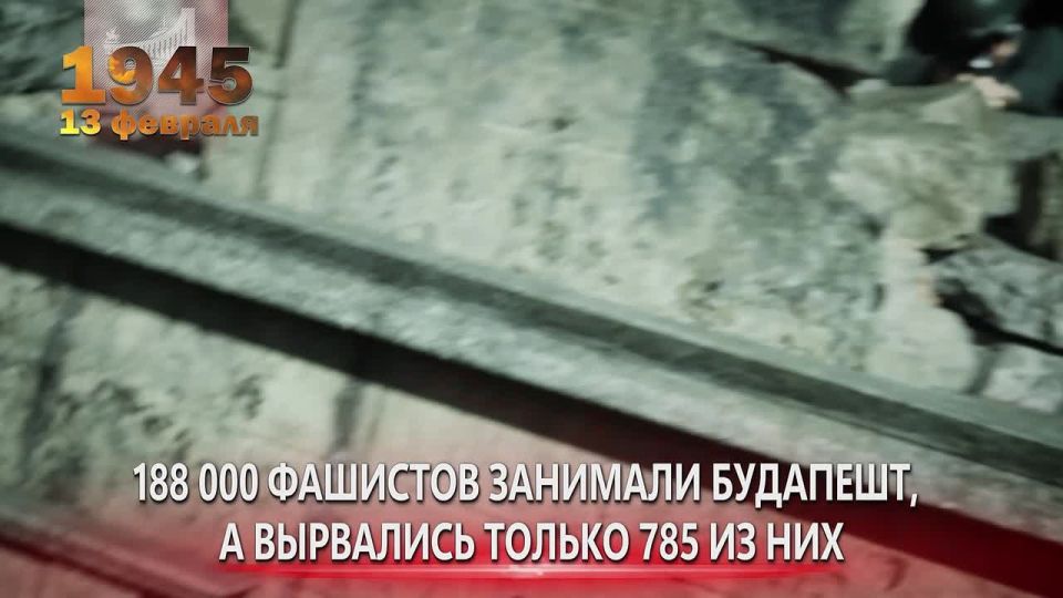 �������� ���� ������� ������� ������