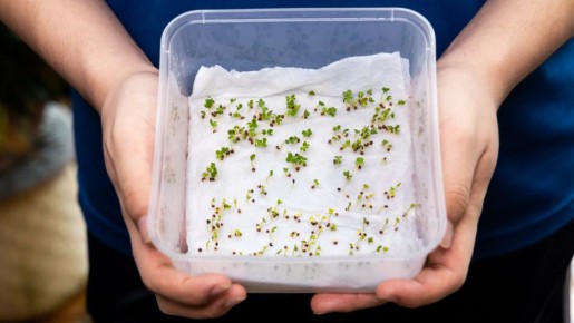 ����������� ����������� �����: ��� ������� � ����� ���� ������ ������