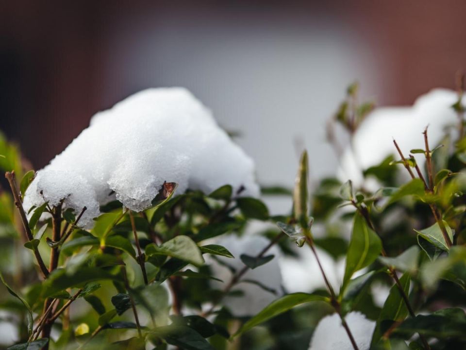 ������: ����� ���������� � ������� ������