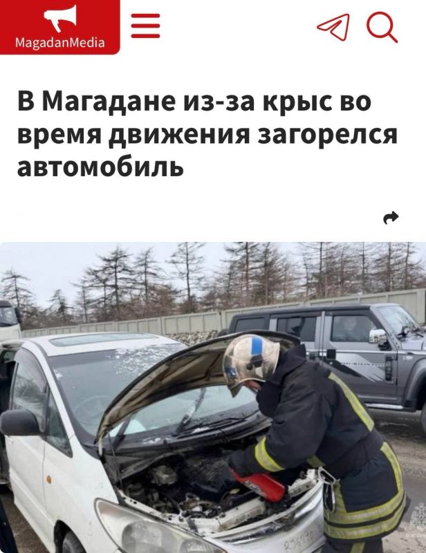 �� �������� ��-�� ���� ���������� ��������� �� ����� ���������: ����� ����� ������ ��� ������� � �������� �����