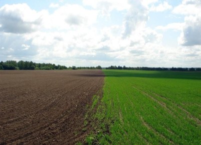 ���������� ���������� �������������: ������ ������ ��� ��������� � �����������