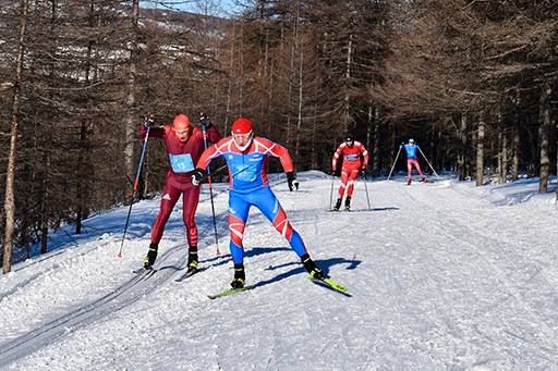 ������ �����: ����� ������� ����������� � ��������� �� 4 �� 83 ��� ������� ������� � ������ ������ - 2026�