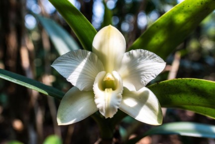 ��������� ��������� �������? ������� �������������� �������������