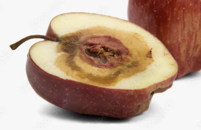 ������ � �������: ��� ������, ���� ����� ����� �������?