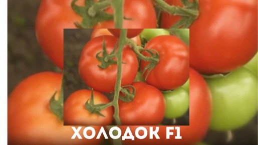 ���������� � ������ � ��������� ������: �������� ��� ���� ����� �������