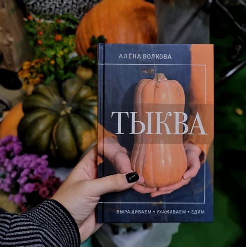 ������� ���������� ������ �����: �� ����� �� ��������