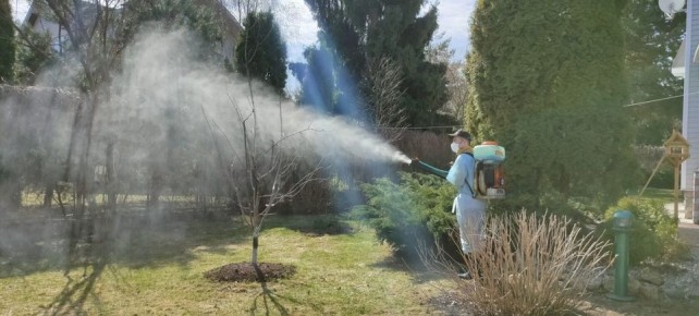 Весенний уход за садом: важные шаги и эффективные препараты