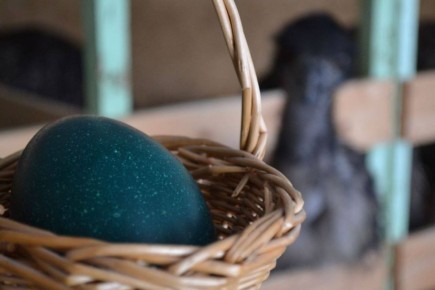 � ��������� �������� ��������� � ���������� � ���������� ���������