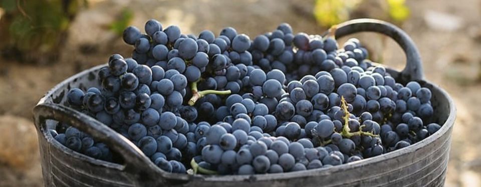 ������: ��� ������� ����������� ����� ���������