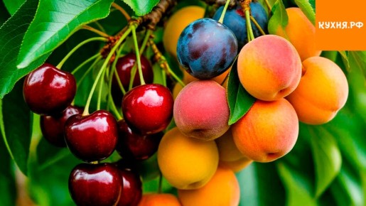 ��������� ������: ����, ������� ������ �� ����� ������