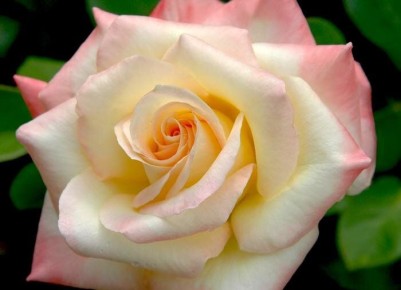 ���� ��� �������������� ����