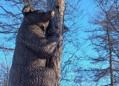 � �������� -17