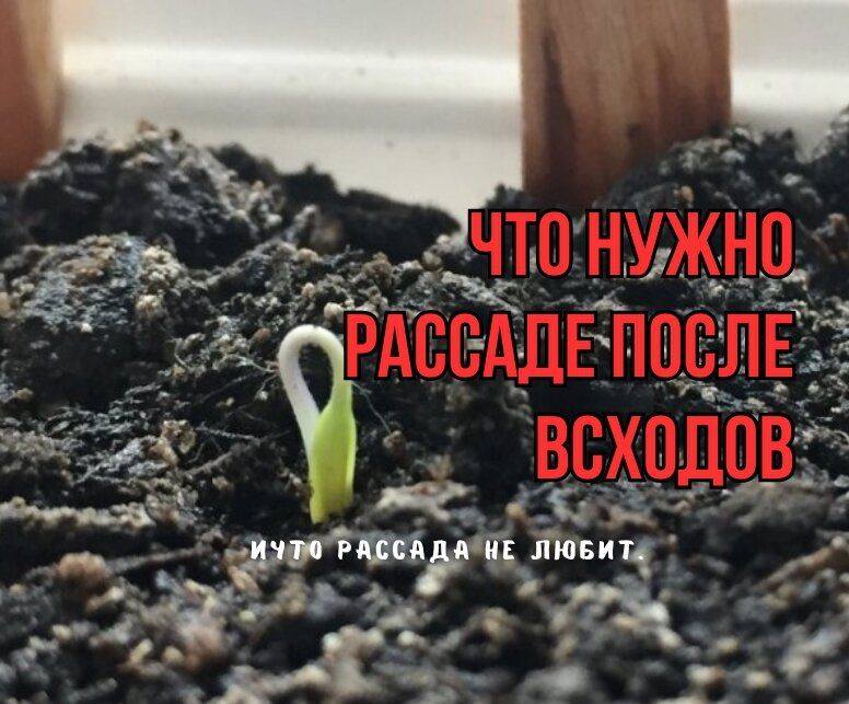 ���-3 ������ ��� ����������� �������: ��� �������� ���������������� �������