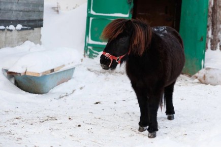 � �������� -18