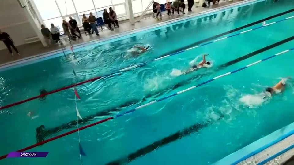 35 �������� � ���� ����������� ����������� � ��������: � �������� ������ ������ ������ ���� � ����� �����