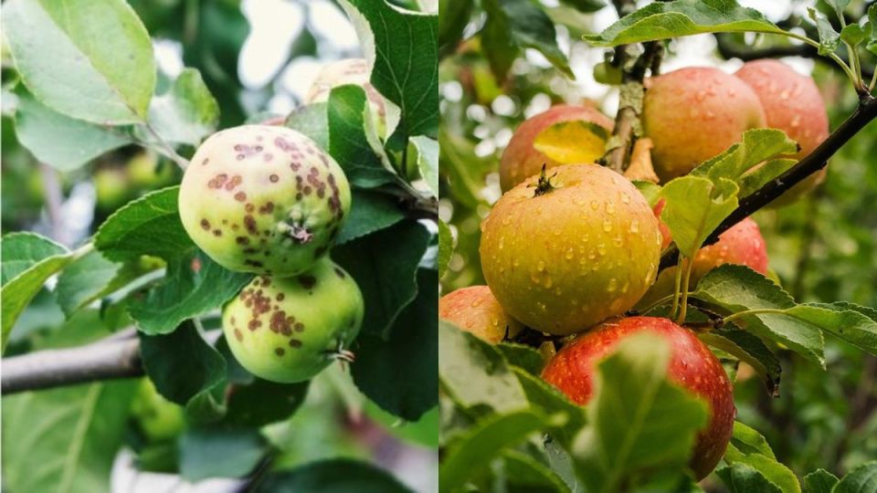 ��� ��������� ��������� ������ ���������� ��������� ������� ������