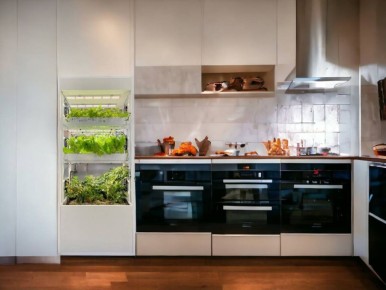 Тайны помидоров: от яда до космического урожая