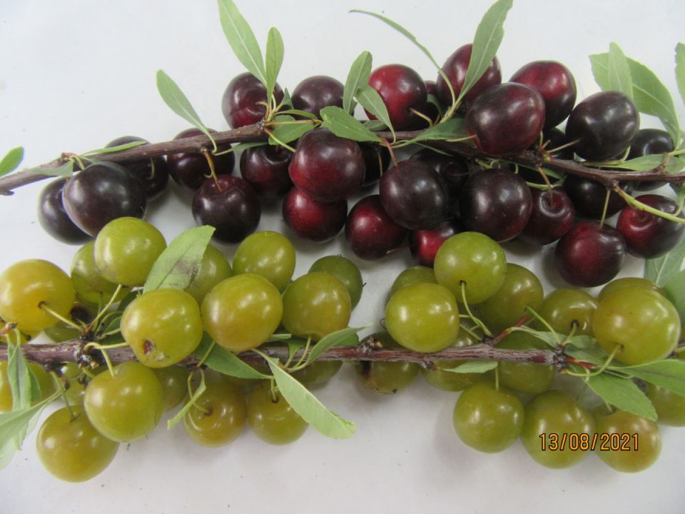 ������ ����� �������� �������� �� ������������� �����