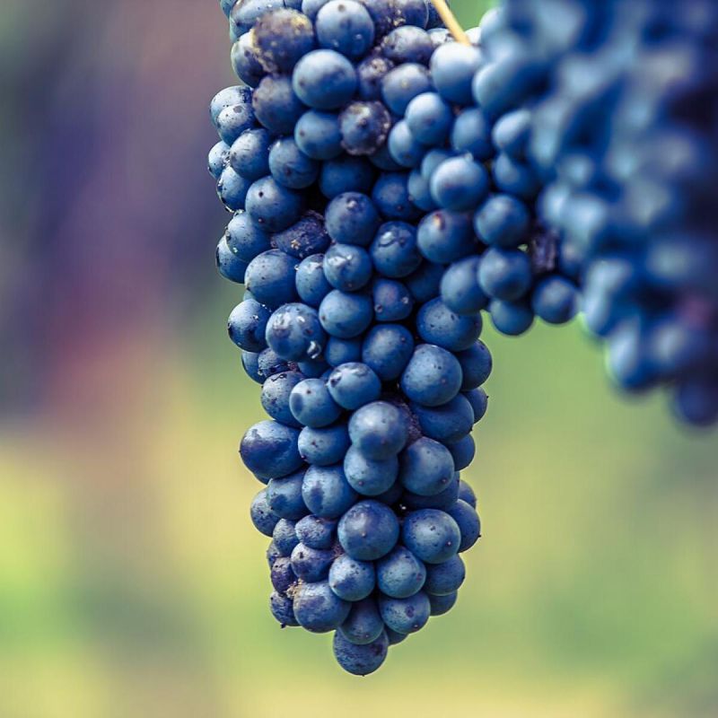 ��� ��������� ��������� �� ���������� �����: ������ ��� �������� ������