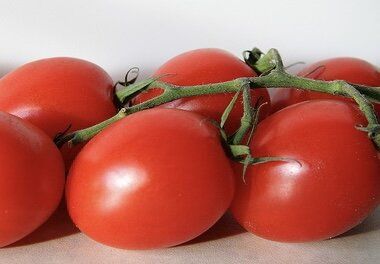 ��������������� �������� ���� ������: ������ ������ ��� ������������