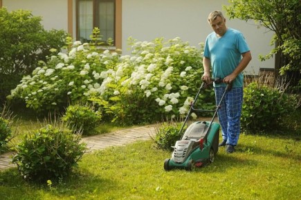 Что точно нужно на даче: от основного инвентаря до секретов удобства